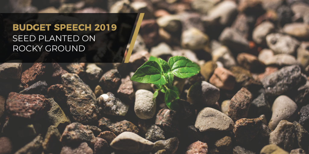 Budget Speech 2019 - Seeds Planted On Rocky Ground