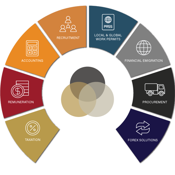 Taxconsulting-South-Africa-Holistic-Tax-Service-Suite