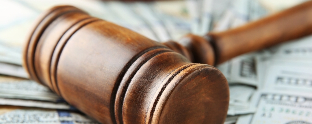 Voluntarily Disclose