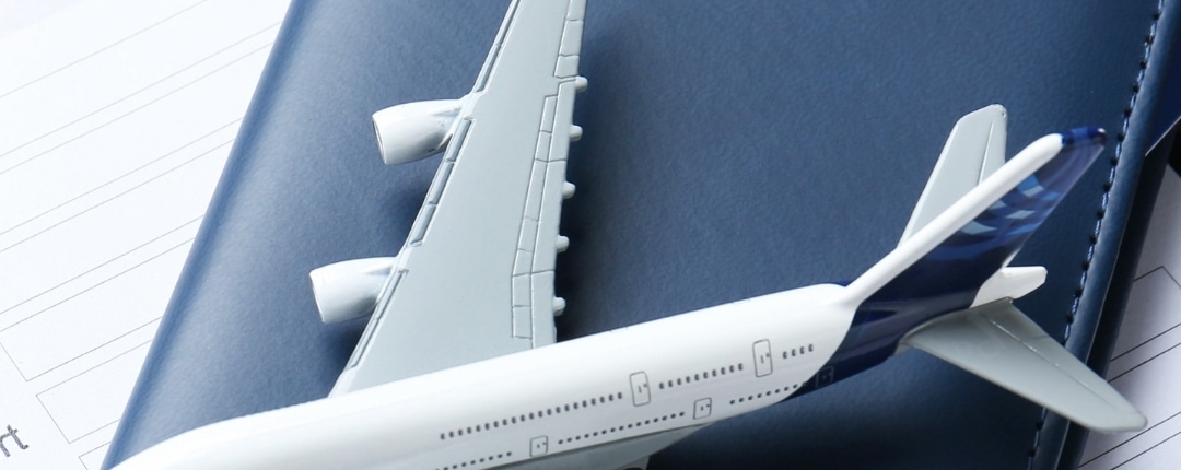 renounced South African citizenship