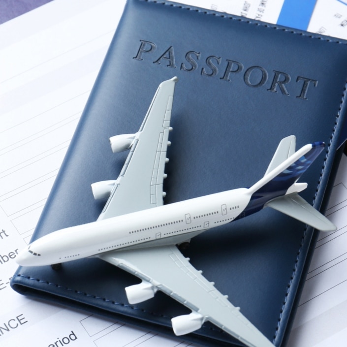 renounced South African citizenship